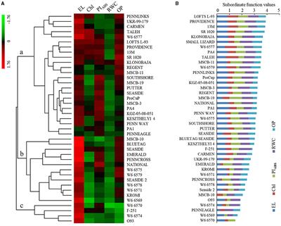 Adaptability to High Temperature and Stay-Green Genotypes Associated With Variations in Antioxidant, Chlorophyll Metabolism, and γ-Aminobutyric Acid Accumulation in Creeping Bentgrass Species